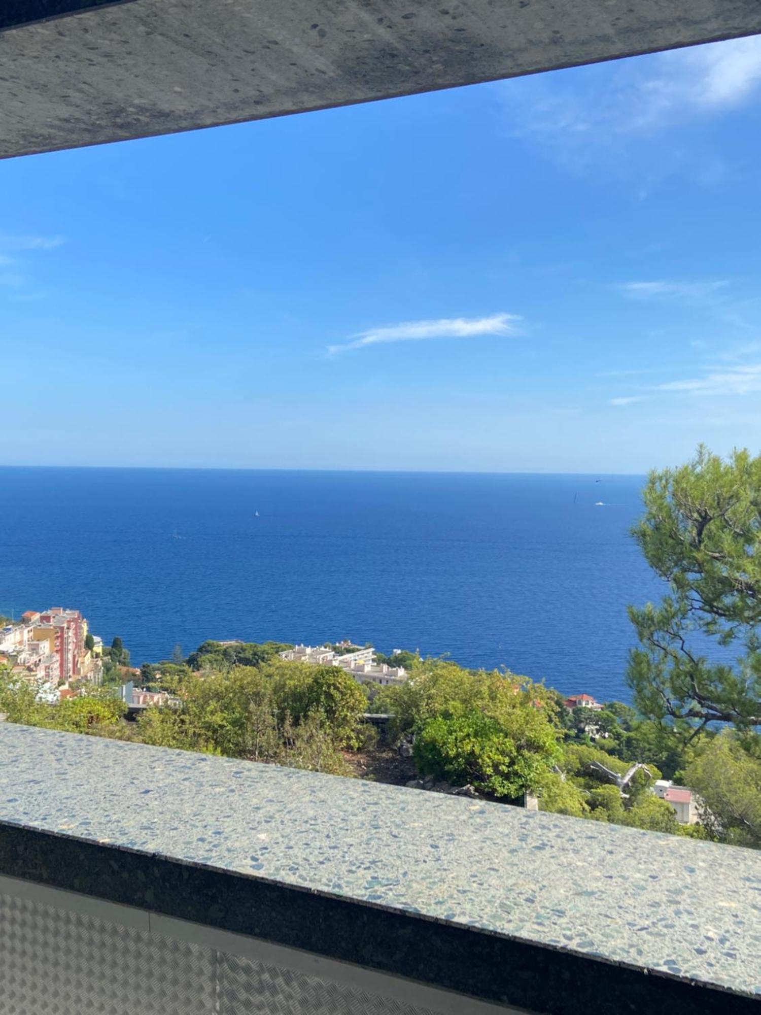 Monaco Doors 5 Vue Mer, Piscine, Parking Cap-d'Ail Bagian luar foto